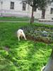 IMG 6527