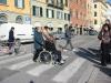 IMG 6530
