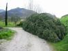 IMG 6579