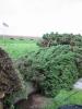 IMG 6589
