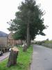 IMG 6590