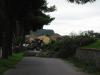 IMG 6591