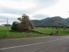 IMG 6593