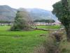 IMG 6594