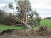 IMG 6595