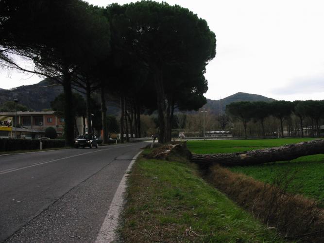 STC 6612